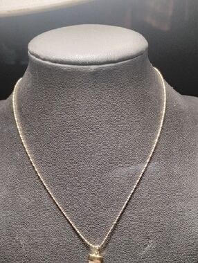 Express Jewelry Sharks Tooth On Gold Chain